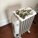 dry your weed on an oil heater