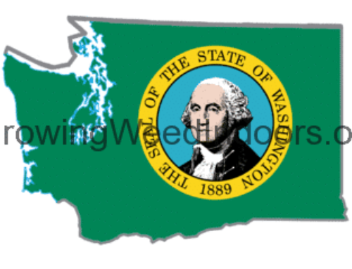 Washington State’s First Legalized Weed Report