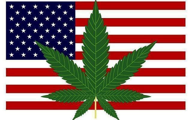 weed leaf and usa flag