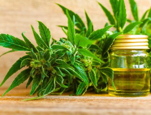 CBD Oils Review and Its Health Benefits