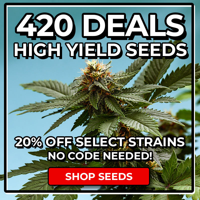 huge 420 discounts